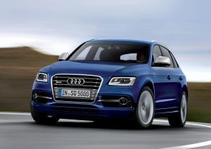 Audi SQ5 TDI 2013 года  (WW)